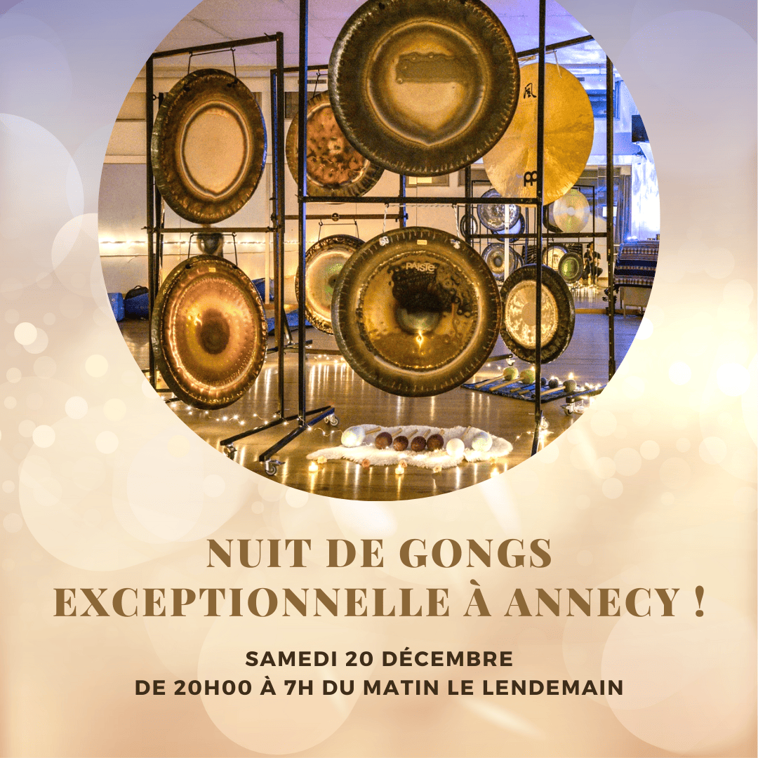 nuit de gong annecy